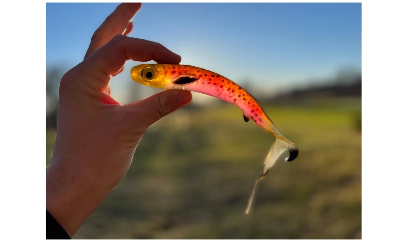 EJ Lures Flatnose Shad 19cm (50g) 2 EJ Lures Flatnose Shad 19cm (50g) - Afbeelding 2