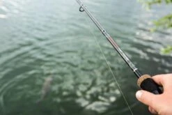 Ultimate Fury Feeder (45 Reviews) -Visuitrusting Winkel 2d0a3a58a0b353ae