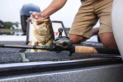 Lew's Custom Pro -Visuitrusting Winkel 543262167ad8892e