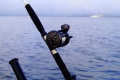 Rhino TR LC (1 Review) -Visuitrusting Winkel 927da244fa0c5d9e