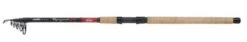 Berkley Cherrywood Spezi Pike Telescopische Hengel 3.30m (50-100g)
